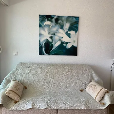 Cosy Tres Beau Quartier Du Ponant Apartman *