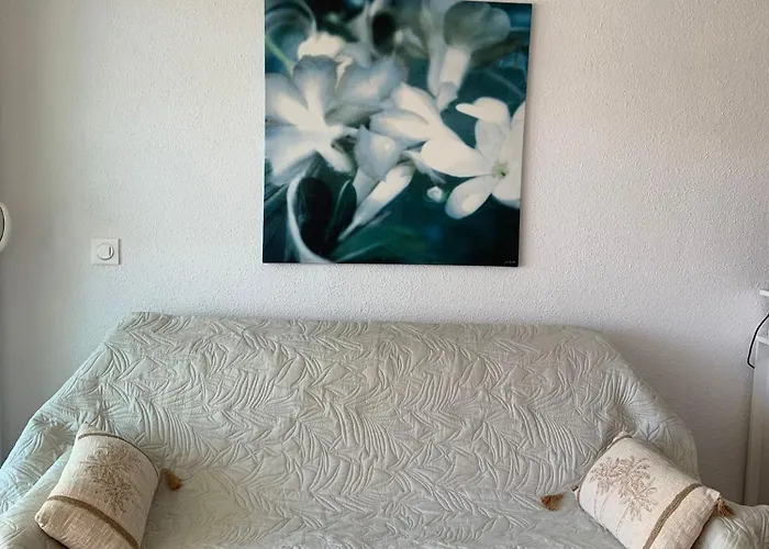 Cosy Tres Beau Quartier Du Ponant Apartamento *